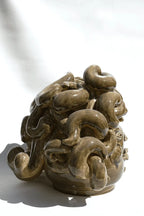 Medusa
